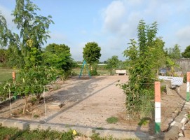 SE61143254169